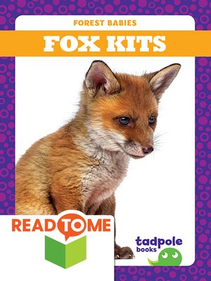 cover image of Fox Kits